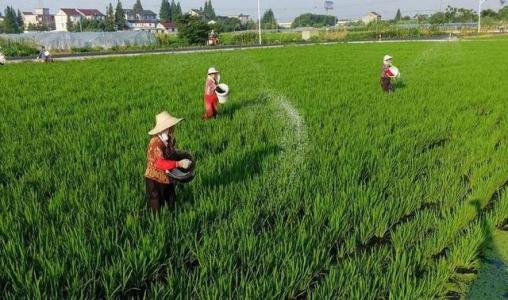 中(zhōng)國(guó)重點複合肥企業競争力分(fēn)析與評價報告