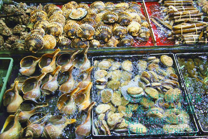 中(zhōng)國(guó)水産(chǎn)養殖及水産(chǎn)飼料行業研究報告